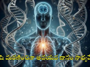 Mystery: చావు రహస్యం తేలిపోనుంది.. మరణం తర్వాత మూడో దశ!.. కన్ఫమ్ చేసిన సైంటిస్టులు