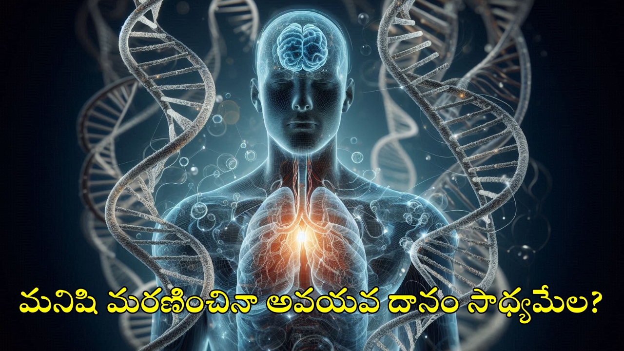 Mystery: చావు రహస్యం తేలిపోనుంది.. మరణం తర్వాత మూడో దశ!.. కన్ఫమ్ చేసిన సైంటిస్టులు