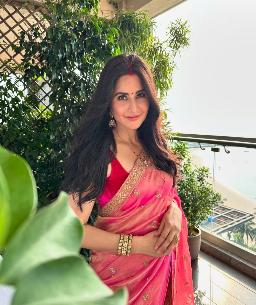 Katrina Kaif (credit/instagram)