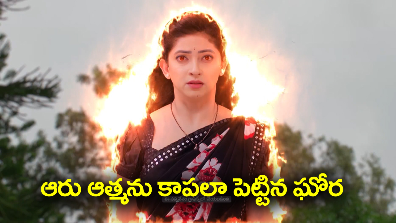 Nindu Noorella Saavasam Serial Today October 29th: ‘నిండు నూరేళ్ల సావాసం’ సీరియల్‌: గుప్తకు శక్తులు ఇచ్చిన దేవుడు – ముత్తైదువుల రాకతో మిస్సమ్మ పూజ సక్సెస్‌  