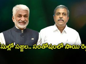 Sajjala VS Vijay Sai Reddy: కేసుల్లో సజ్జల.. సంతోషంలో విజయసాయి రెడ్డి