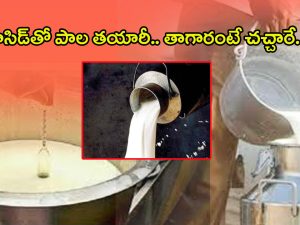 Adulterated Milk Mafia: యాసిడ్ తో పాల తయారీ.. తాగారంటే ప్రాణాలు పోవాల్సిందే!