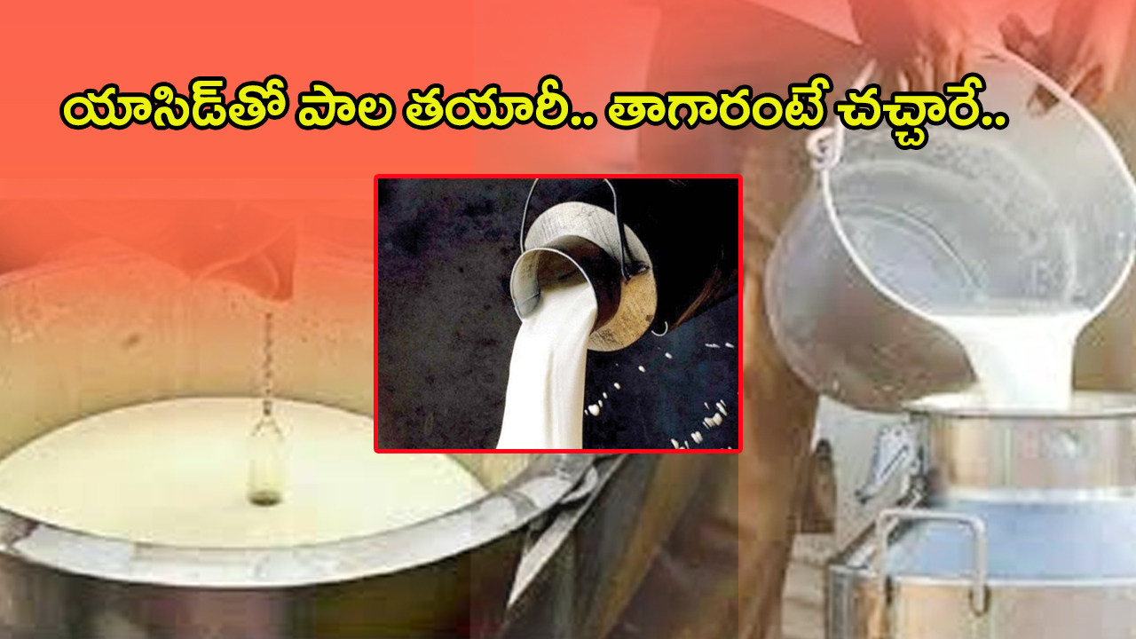 Adulterated Milk Mafia: యాసిడ్ తో పాల తయారీ.. తాగారంటే ప్రాణాలు పోవాల్సిందే!