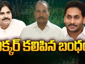 YCP – Janasena: లిక్కర్ కలిపిన బంధం.. కలిసిపోయిన జనసేన, వైసీపీ