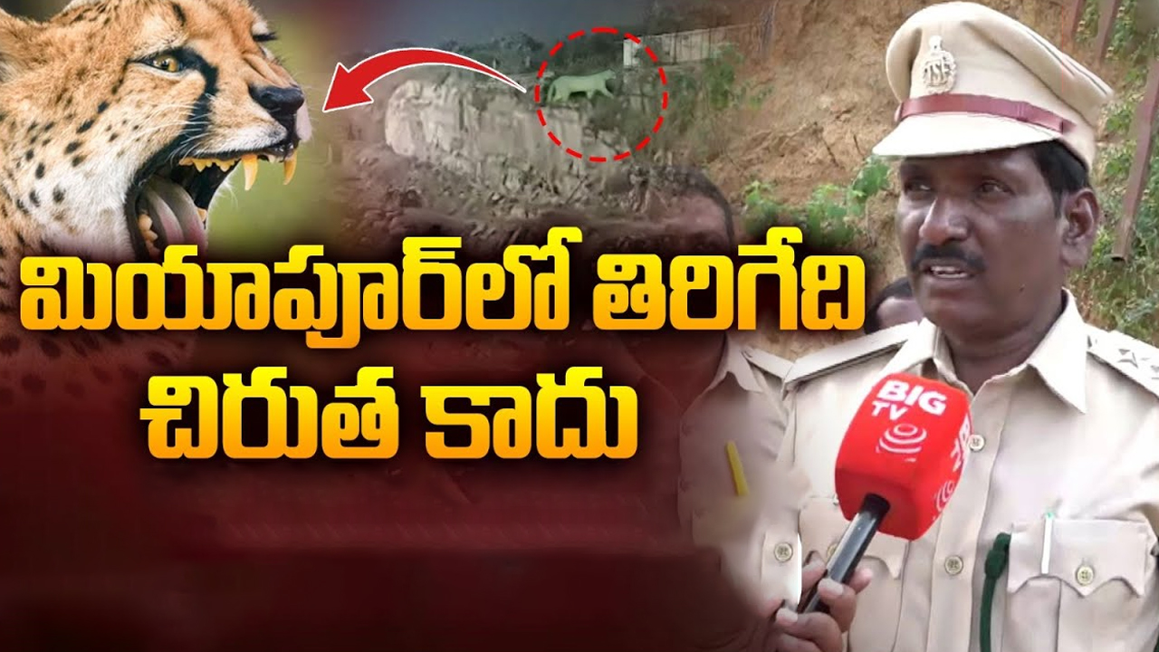 Miyapur Chirutha Puli: మియాపూర్‌లో కనిపించింది చిరుత కాదా? మరేంటి? అధికారులు ఏమంటున్నారు? అయినా బీ అలర్ట్!