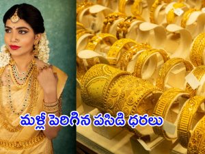 Today Gold Prices: పండగ వేళ  భారీ షాక్.. మళ్లీ పెరిగిన పసిడి ధరలు