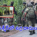 Terrorist attacks in Kashmir: కశ్మీర్‌లో ఉగ్ర దాడులు.. ఇండియన్ ప్లాన్ ఏంటి?