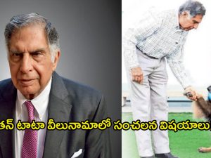 Ratan Tata: రతన్ టాటా వీలునామాలో ఏముందంటే..? కుక్కకు కూడా..