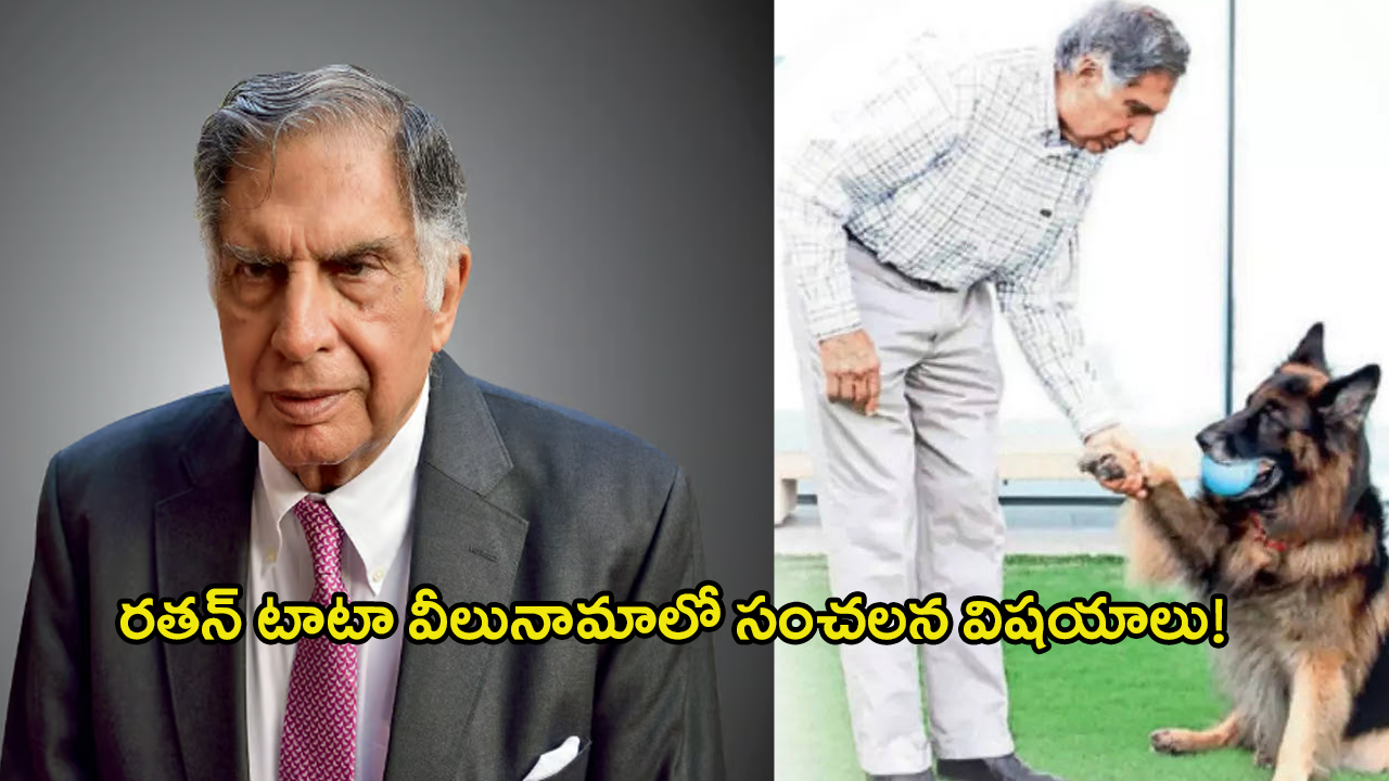 Ratan Tata: రతన్ టాటా వీలునామాలో ఏముందంటే..? కుక్కకు కూడా..