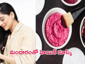 Hibiscus Hair Mask: మందారంలో వీటిని కలిపి ఈ హెయిర్ మాస్క్ ట్రై చేశారంటే.. పట్టులాంటి జుట్టు మీ సొంతం