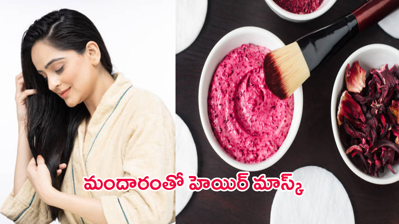 Hibiscus Hair Mask: మందారంలో వీటిని కలిపి ఈ హెయిర్ మాస్క్ ట్రై చేశారంటే.. పట్టులాంటి జుట్టు మీ సొంతం