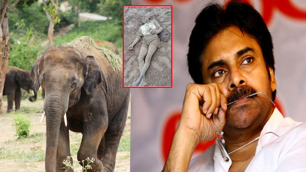 Elephants Attack on Farmers: రైతులను బలి తీసుకుంటున్న ఏనుగులు.. పవన్ ఇచ్చిన ఆ మాట ఏమైనట్లు?