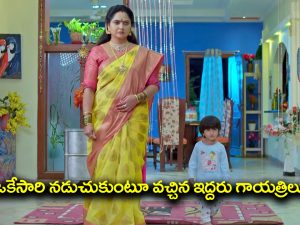 Trinayani Serial Today October 8th: ‘త్రినయని’ సీరియల్‌: ఒకేసారి నడచుకుంటూ వచ్చిన ఇద్దరు గాయత్రిలు – ఇద్దరిని ఓకేసారి చూసి షాక్‌ అయిన తిలొత్తమ్మ