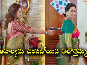 Trinayani Serial Today October 10th: ‘త్రినయని’ సీరియల్‌:  అహల్యను చంపబోయిన తిలొత్తమ్మ – గాయత్రి దేవిని చంపిన వాళ్లను పట్టుకుంటానన్న అహల్య