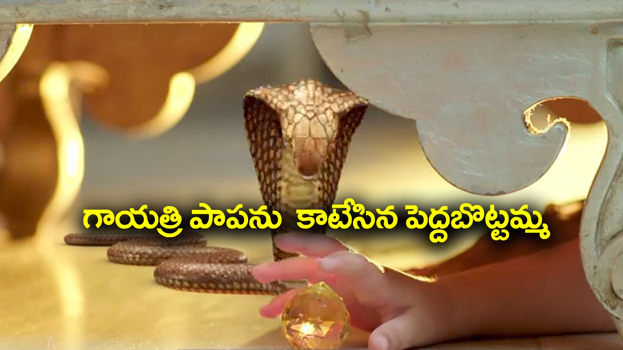 Trinayani Serial Today October 2nd: ‘త్రినయని’ సీరియల్‌: గాయత్రిని కాటేసిన పెద్దబొట్టమ్మ – సుమనను కొట్టిన నయని