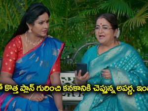 Brahmamudi Serial Today October 25th: ‘బ్రహ్మముడి’ సీరియల్:  మరో కొత్త ప్లాన్‌ వేసిన అపర్ణ, ఇందిర – రుద్రాణిని ఇంట్లోంచి వెళ్లగొడతారన్న స్వప్న