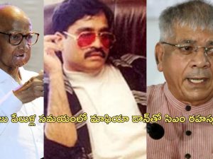 Prakash Ambedkar: షరద్ పవార్ సిఎంగా ఉన్నప్పుడే మాఫియా డాన్‌తో దుబాయ్‌లో కలిశేవారు: అంబేడ్కర్ మనవడు