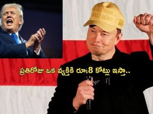 Elon Musk 1 Million dollar: ‘ప్రతిరోజు 10 లక్షల డాలర్లు ఒక వ్యక్తికి ఇస్తాను’.. అమెరికా ఎన్నికల ప్రచారంలో మస్క్ సంచలనం