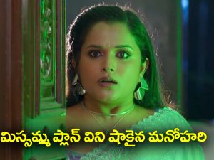 Nindu Noorella Saavasam Serial Today October 20th: ‘నిండు నూరేళ్ల సావాసం’ సీరియల్‌: నిజం తెలుసుకునేందుకు మిస్సమ్మ ప్లాన్‌ – మిస్సమ్మను డైవర్ట్‌ చేయాలనుకున్న మనోహరి  