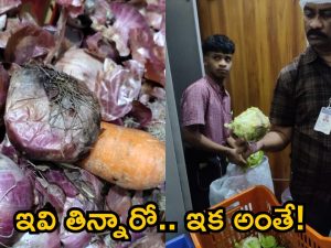 Hyderabad Restaurants Raids: పాచిన రవ్వ, కుళ్లిన ఉల్లి.. ‘చట్నీస్’లో ఫుడ్ సేఫ్టీ అధికారుల తనిఖీలు.. పలు హోటల్స్ బంద్..