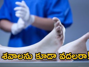 Dead Bodies Missing: శవాలు మిస్సింగ్.. మాయా లేదు మర్మం లేదు.. ఆ మిస్టరీ వెనుక ఉన్నది ఎవరంటే?