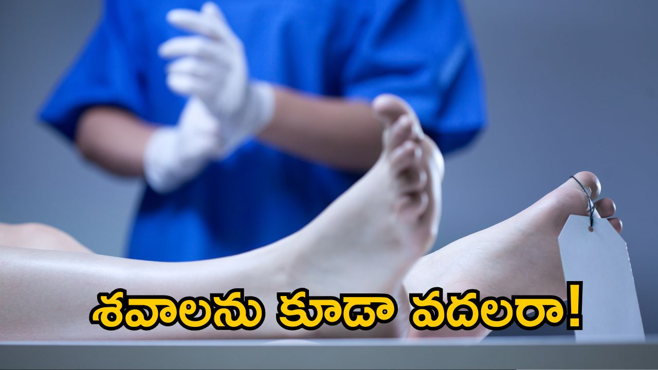 Dead Bodies Missing: శవాలు మిస్సింగ్.. మాయా లేదు మర్మం లేదు.. ఆ మిస్టరీ వెనుక ఉన్నది ఎవరంటే?