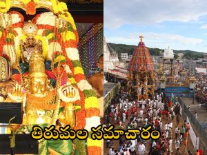 TTD News: దీపావళికి తిరుమల వెళ్తున్నారా.. ఆ సేవలు రద్దు చేసిన టీటీడీ.. దర్శనానికి ఎన్నిగంటల సమయం పడుతుందంటే?