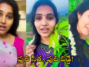 Puli Seetha: రోజా.. శ్యామలకు చుక్కలు చూపిస్తున్న పులి సీత.. ఈమె బ్యాక్ గ్రౌండ్ ఇదే!