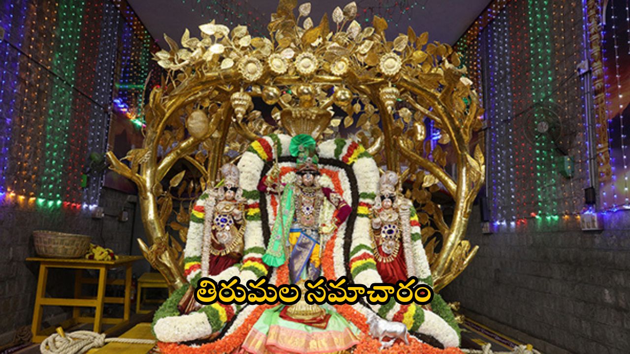 Tirumala: 30వ తేదీ కోయిల్‌ ఆళ్వార్‌ తిరుమంజనం.. భక్తులకు టీటీడీ కీలక సూచన.. దర్శనానికి ఎన్ని గంటల సమయమంటే?