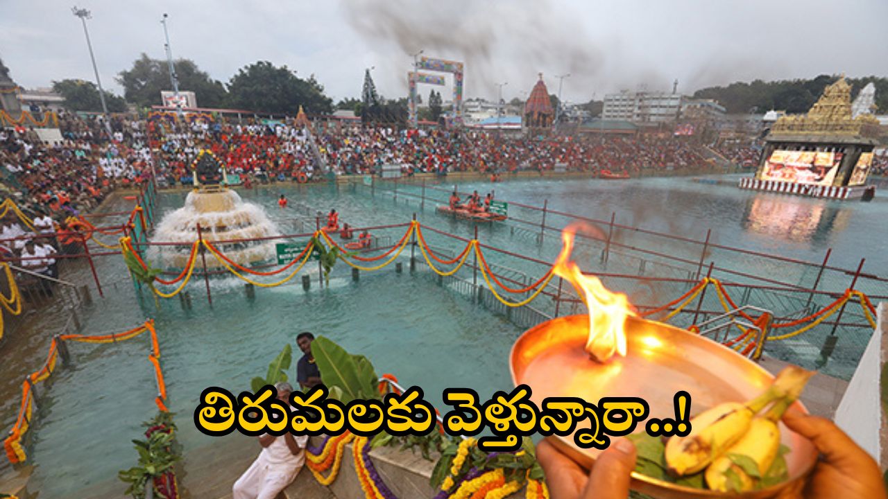 Tirumala Breaking News: తిరుమలకు కాలినడకన వస్తున్నారా.. అయితే సదుపాయాలు మీకోసమే.. టీటీడీ కీలక ప్రకటన