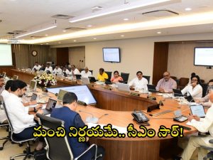 TDP on Sharadapeetam: శారదాపీఠం.. పేరుకే పీఠమే కానీ వివాదాల పుట్ట.. ప్రభుత్వ నిర్ణయం భేష్ అంటున్న కూటమి నేతలు