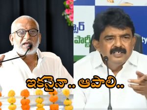 YCP Leaders Fires On Chandrababu: ఆస్తుల కోసమే షర్మిళ ఆరాటం.. ఫ్యామిలీ గొడవల్లో బాబు జోక్యమెందుకో.. ఎంపీ వైవి, నాని