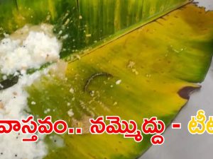 TTD: అన్నప్రసాదంలో జెర్రి.. తీవ్ర స్థాయిలో ఖండించిన టీటీడీ.. నమ్మొద్దు అంటూ ప్రకటన