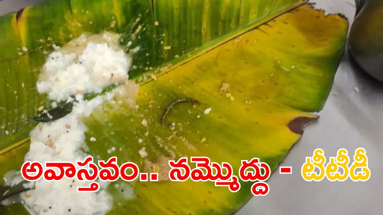 TTD: అన్నప్రసాదంలో జెర్రి.. తీవ్ర స్థాయిలో ఖండించిన టీటీడీ.. నమ్మొద్దు అంటూ ప్రకటన