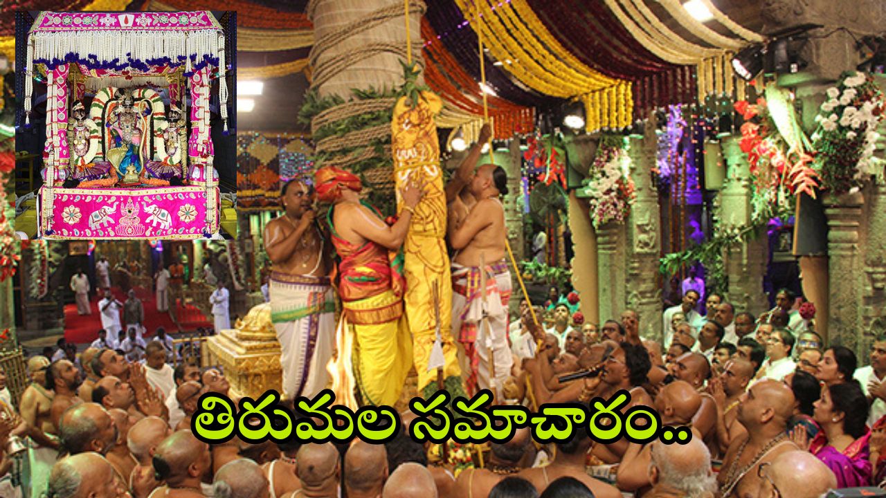 Tirumala Darshan Update: దీపావళి ఎఫెక్ట్.. తిరుమలలో పెరుగుతున్న భక్తుల రద్దీ.. దర్శనానికి ఎన్ని గంటల సమయమంటే?