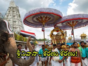 Tirumala Updates: తిరుమల శ్రీవారి దర్శనానికి వెళ్తున్నారా.. అయితే ఈ సమాచారం మీ కోసమే!