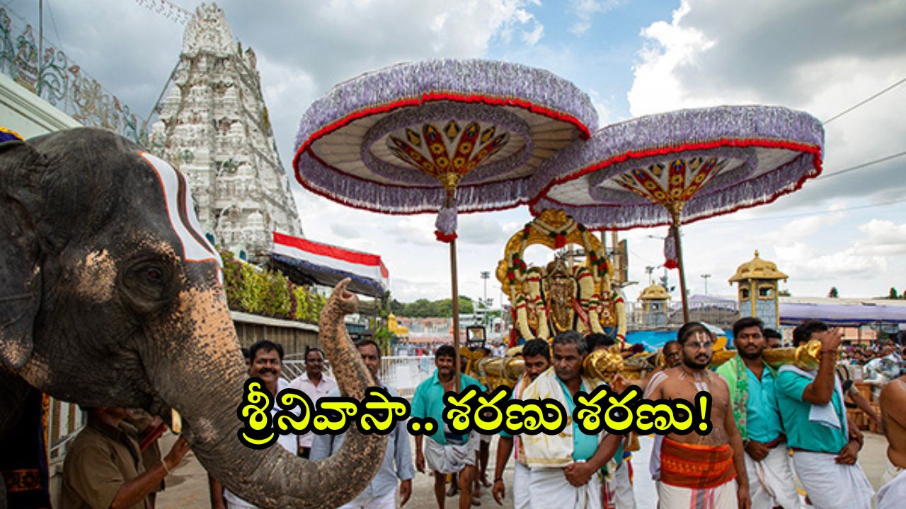 Tirumala Updates: తిరుమల శ్రీవారి దర్శనానికి వెళ్తున్నారా.. అయితే ఈ సమాచారం మీ కోసమే!