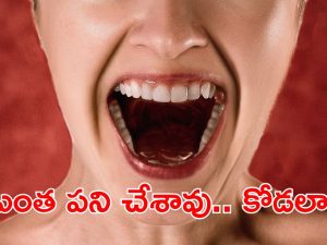 Crime News: అత్తా, కోడలి మధ్య గొడవ.. అలా కొరికేసిందేంటీ, దెబ్బకు ఊడిపడిందిగా..