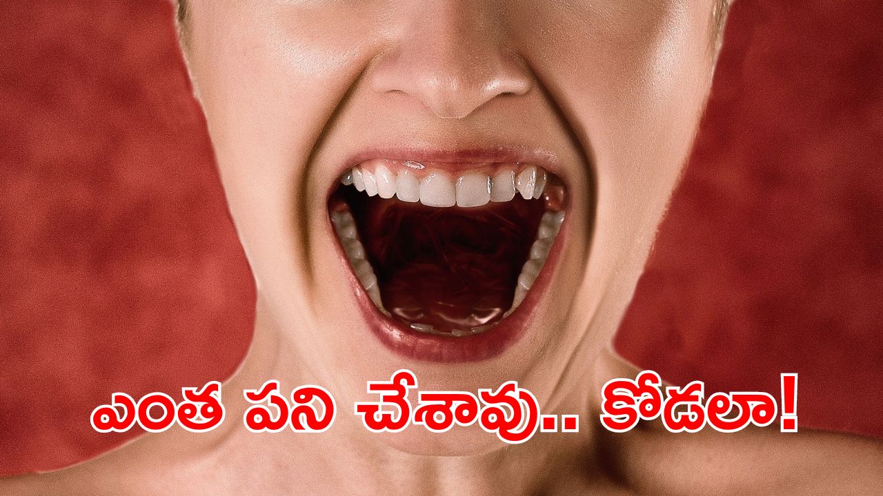 Crime News: అత్తా, కోడలి మధ్య గొడవ.. అలా కొరికేసిందేంటీ, దెబ్బకు ఊడిపడిందిగా..