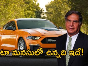 Ratan Tata Last Words: కారు ఓనర్స్ కి టాటా చెప్పిన చివరి మాటలు ఇవే.. మీరు పాటిస్తున్నారా ?