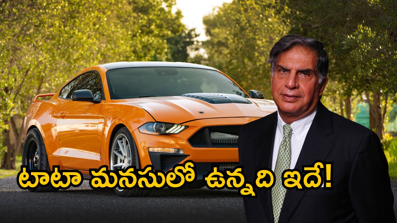 Ratan Tata Last Words: కారు ఓనర్స్ కి టాటా చెప్పిన చివరి మాటలు ఇవే.. మీరు పాటిస్తున్నారా ?