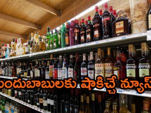 AP Liquor Policy: మద్యం షాపు యజమానులకు షాకింగ్ న్యూస్.. ఆ జీవో జారీ చేయాలంటున్న బ్రాహ్మణ చైతన్య వేదిక.. ప్రభుత్వం ఎలా స్పందించెనో ?