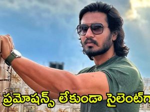 Nikhil: దీపావళికి కొత్త సినిమాతో వచ్చేస్తున్న యంగ్ హీరో.. మరి ఆ ప్యాన్ ఇండియా మూవీ పరిస్థితి ఏంటి?