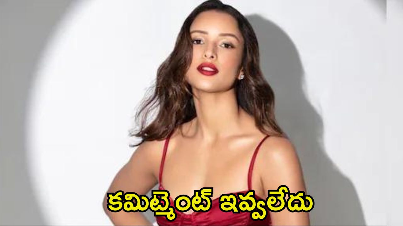 Tripti Dimri: నేను ఎవ్వరినీ మోసం చేయలేదు.. తనపై వస్తున్న ఆరోపణలపై క్లారిటీ ఇచ్చిన ‘యానిమల్’ బ్యూటీ