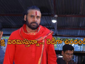 Pawan Klayan: వైసీపీకి ఝలక్ ఇచ్చిన పవన్.. విచారణ ఎదుర్కోవాల్సిందే.. రెడీగా ఉండండి అంటూ ప్రకటన