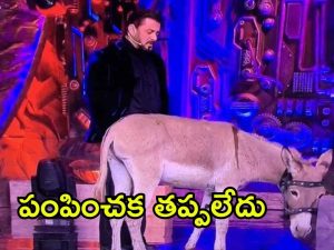 Bigg Boss 18: ‘బిగ్ బాస్’ నుండి గాడిద ఎలిమినేట్.. మొత్తానికి వారి పంతం నెగ్గిందిగా!