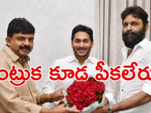 Perni Nani: నా వెంట్రుక కూడ పీకలేరు.. కోసి కారం పెట్టండి.. మాజీ మంత్రి నాని సెన్సేషనల్ కామెంట్స్