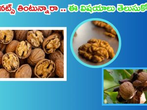 Walnuts: వాల్ నట్స్ తింటున్నారా ? అయితే ఈ విషయాలు తప్పక తెలుసుకోండి