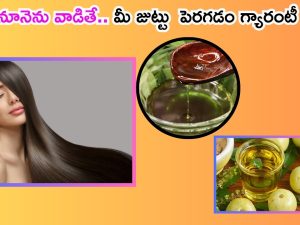 Amla Oil For Hair: ఇలా హెయిర్ ఆయిల్ తయారు చేసుకుని వాడితే.. జుట్టు ఊడమన్నా ఊడదు