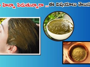 Henna For Hair: జుట్టుకు హెన్నా పెడుతున్నారా ?  ఈ పొరపాట్లు అస్సలు చేయకండి